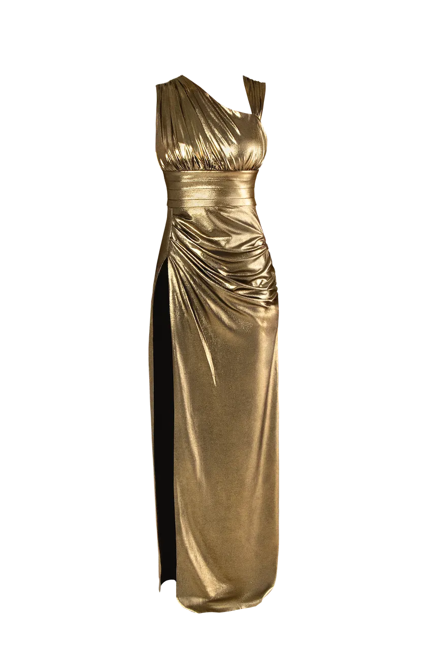 Aanya Dress bodycon dress