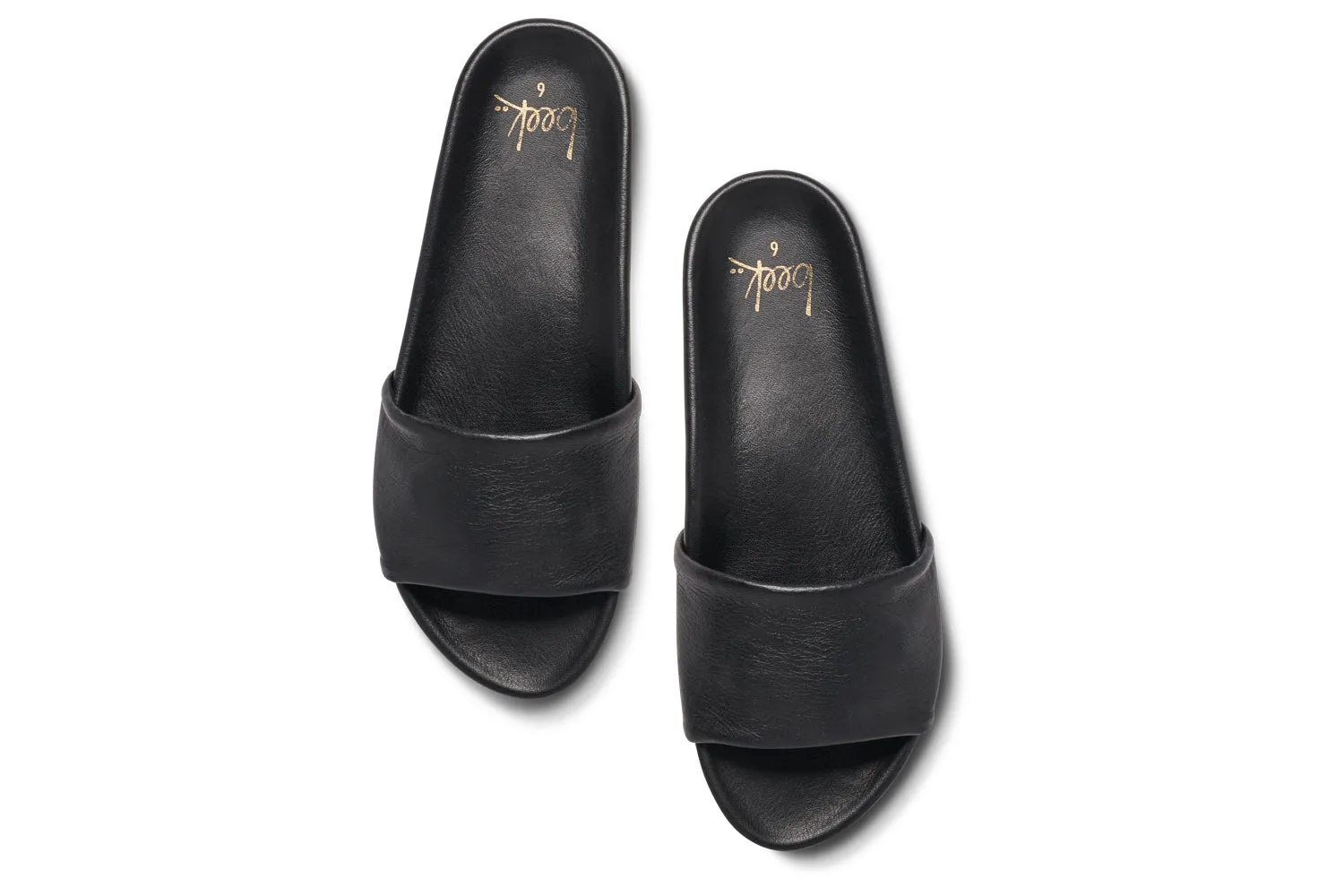 GALLITO - Black sunny escape
