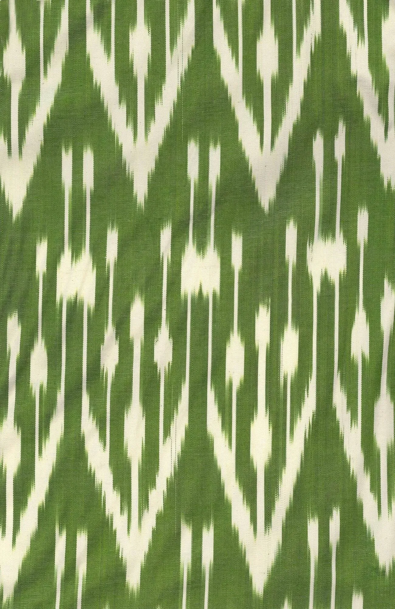 Hand Woven Silk Ikat Jacket wind shield
