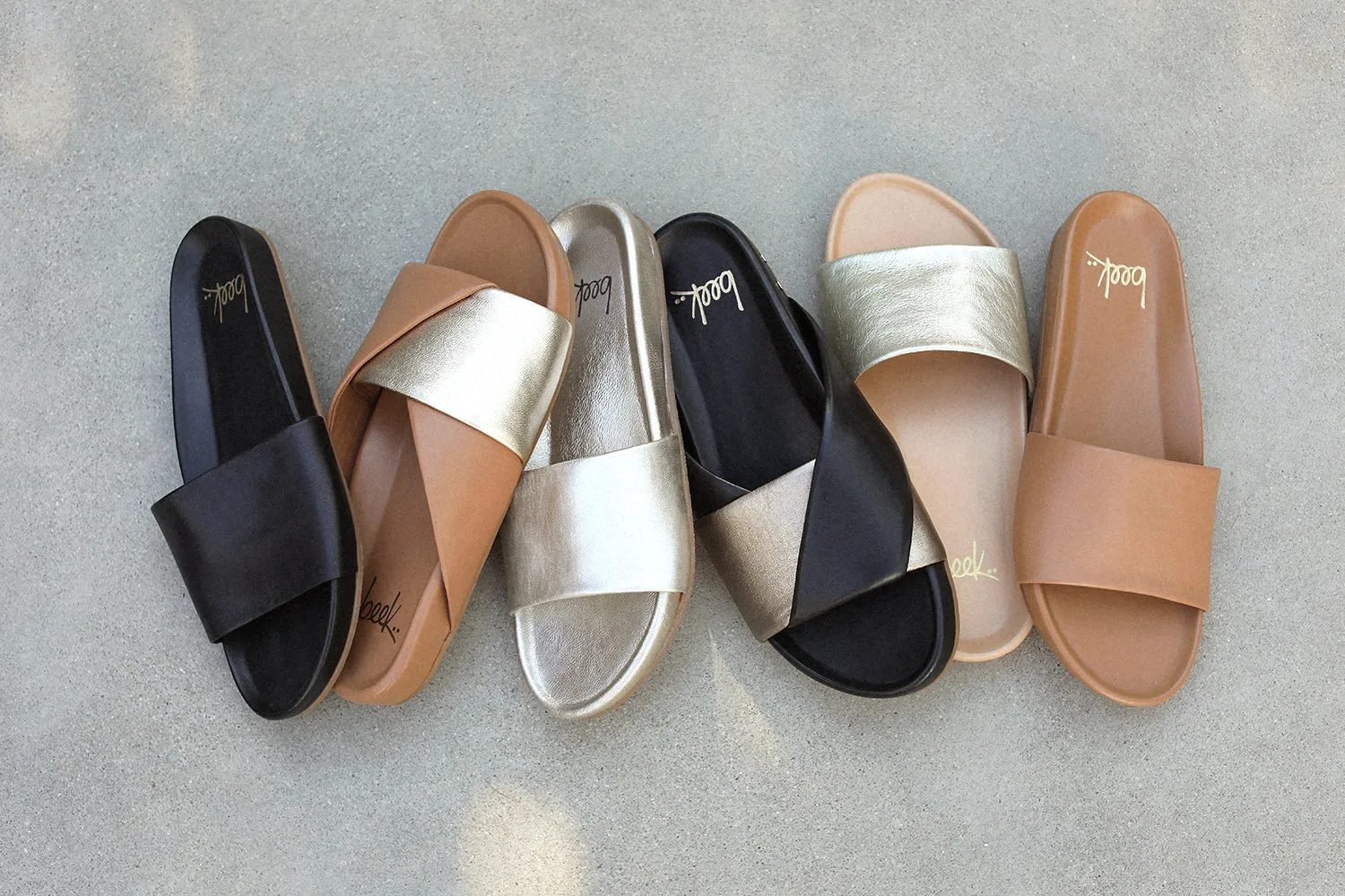 PALOMA - Bronze/Black all day